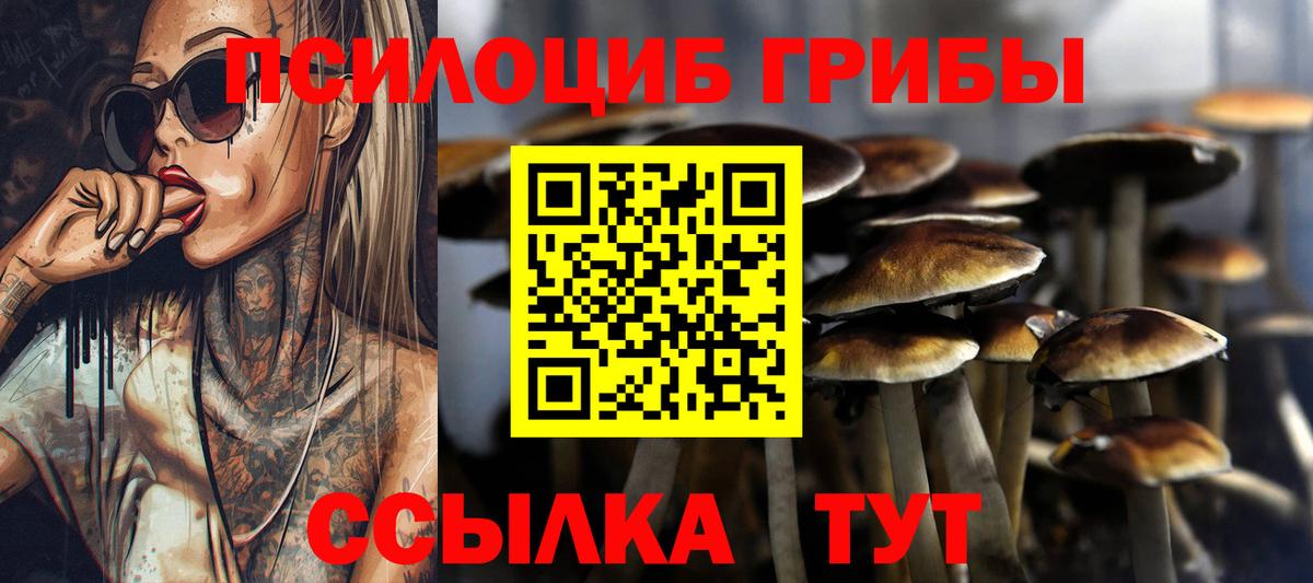Псилоцибиновые грибы мухоморы  Вход с VPN  Красногорск  Галлюциногенные грибы прущие грибы 