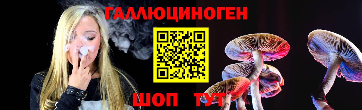 Псилоцибиновые грибы GOLDEN TEACHER Красногорск